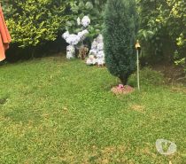 Bienes Raices Osorno Osorno - Fotos de Preciosa Casa apta para Oficina ,4 Dormitorios,centro Osorno